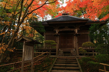 世界遺産　紅葉の中尊寺