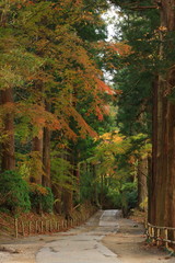 世界遺産　紅葉の中尊寺