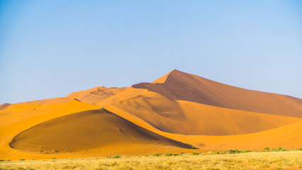 Fototapeta na wymiar Dune of namibia
