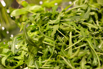 Bunch of green rocket aragula