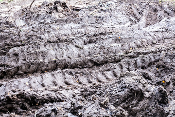 Dirt texture. Earth road. Off road