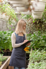 A young female gardener keeps a record of flowers in a greenhouse.