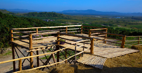garden with colorful flowers in the hill