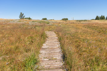 Autumn Panorama of Vitosha Mountain, Bulgaria