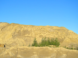 Sandy hill with sand martin nests