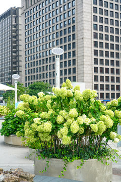 Seoul, Republic of Korea Seoullo  Seoul Skygarden, Skypark. Seoul's elevated linear park, built on a former flyover.