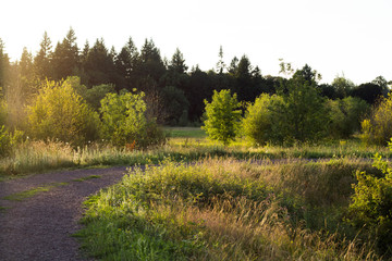 Evening Pathway