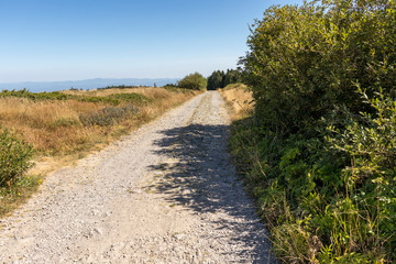 Fototapeta premium Autumn Panorama of Vitosha Mountain, Bulgaria