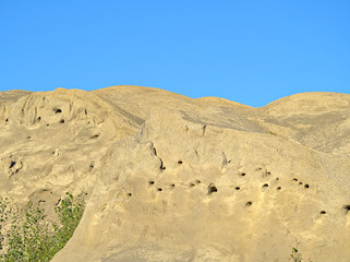 Sandy hill with sand martin nests