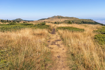 Autumn Panorama of Vitosha Mountain, Bulgaria