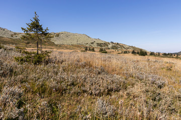 Autumn Panorama of Vitosha Mountain, Bulgaria