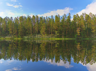 Pine forest mirrored on the surface of small lake in Finland