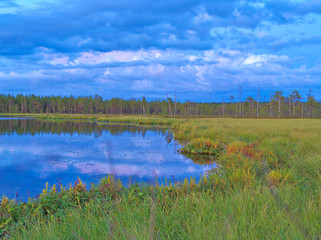 Beautiful pond surrounded by grass in fall colors in Finland