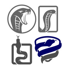 Snake Shield logo template design Vector illustration set