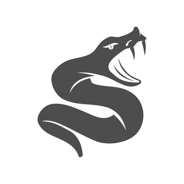 recommend clip art: Snake Angry logo template design Vector illustration Isolated