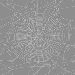  spider web seamless vector texture
