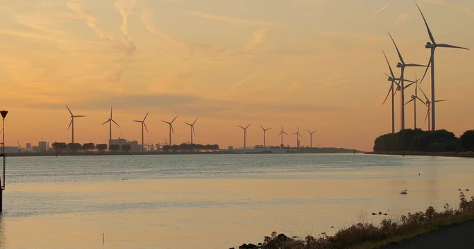Many wind power turbines in twilight near Rotterdam, Maassluis, Nieuwe Waterweg, The Netherlands