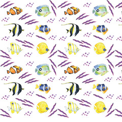 reef fish aquarium swim in different directions