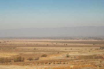 Autumn steppe in Kazakhstan. Yellow grass. Landscape.