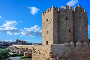 calahorra tower at sunset, view of the calahorra tower during sunset. corboda spain