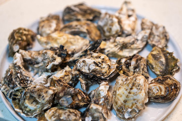 A plate of delicious oysters close-up
