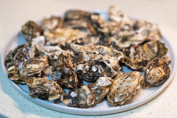 A plate of delicious oysters close-up