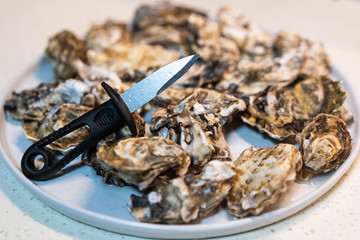 A plate of delicious oysters close-up