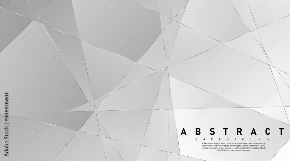 Wall mural modern abstract light silver background vector. elegant concept design with line.vector illustration