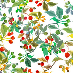 Fototapeta na wymiar Seamless watercolor pattern of viburnum branch.