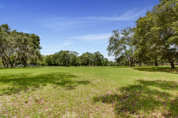 Fototapeta na wymiar Large empty field with trees
