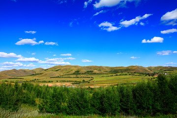 Fototapeta premium The beautiful scenery of the grassland