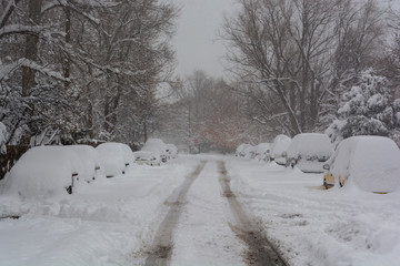 Snow Covered Cars on a Street During a Blizzard