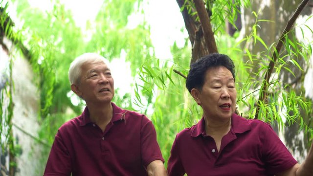 Asian old couple traveling sitting under green willow tree explore new place