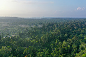 Fototapeta na wymiar Aerial view of Tropical Rainforest in Malaysia