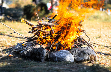 Closeup of a wooden campfire. Branchs and twigs on fire