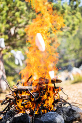 Closeup of a wooden campfire. Branchs and twigs on fire
