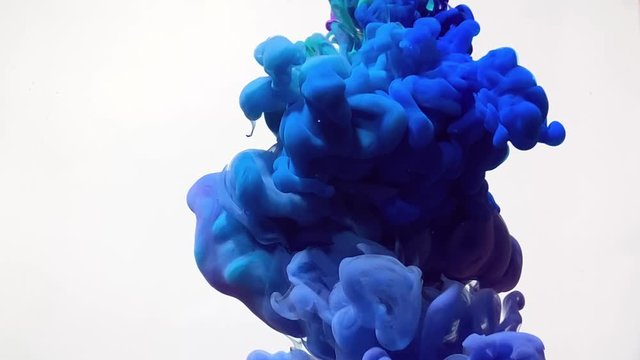 Stylish slow motion videos of blue and purple watercolor inks spin beautifully in water. Powerful explosion of paints on a white background. The smooth movement of acrylic ink in water. 