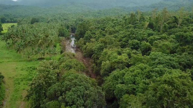 Drone shot along a river at Netravali Wild Life Reserve Goa, India.