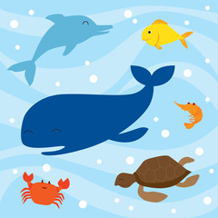 Under the sea. There are whale, dolphin, fish, shrimp, turtle and crab.