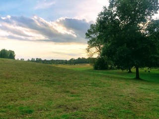 Oregon field