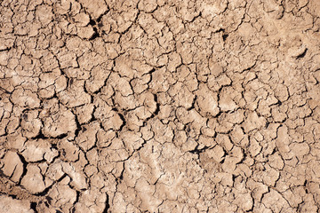 Dry land