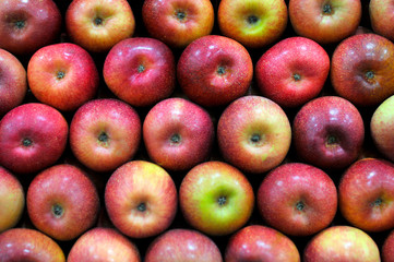 Apples