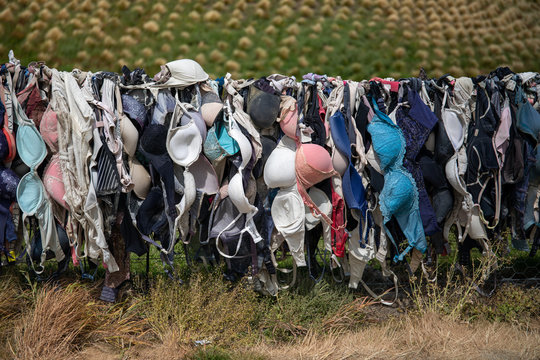 Quirky Cardrona Bra Fence, New Zealand