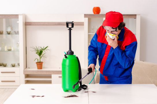 Young Contractor Doing Pest Control At Home