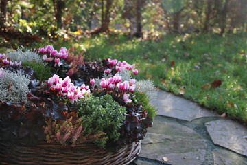 Ein Kranz mit Blumen und Alpenveilchen zur Beerdigung im Herbst