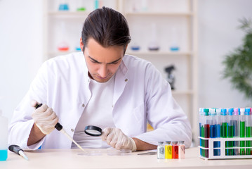 Young male chemist working in the lab