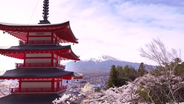 [4K収録] 日本の春 新倉山浅間公園から望む富士山