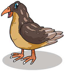 Cute Quail Vector Illustration