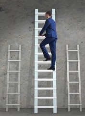 The career progression concept with various ladders