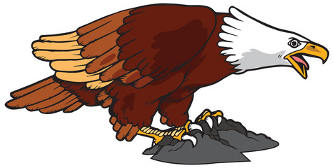 Eagle Vector Illustration